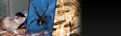 You can count on us to handle all of your commercial and residential pest control needs in the mesa county area. Termite Terry Pest Control Inc 785 W 17th St Ste G Costa Mesa Ca 92627 Yp Com