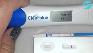 S Kakogo Sroka Pokazyvaet Test Na Beremennost Prostye Sposoby Bystro Vyyavit Zachatie Rebenka Obzor Metodov Proverki