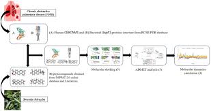 Image result for Swertia tetrandra