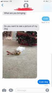 Emperor penguins huddle together on the ice, incubating eggs in winters that bring temperatures as low as negative 48 degrees celsius. Part 2 Im Bringing Chili Album On Imgur