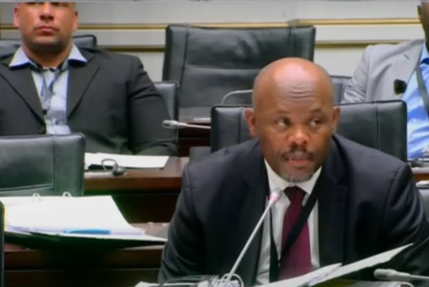 WATCH: Who is Stuart James Scharnick, the man claiming Khumalo misled the Madlanga Commission? - Inside Politics