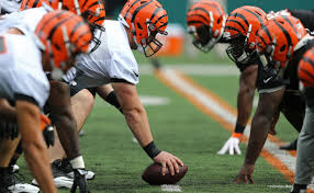 cincinnati bengals depth chart bengals wire