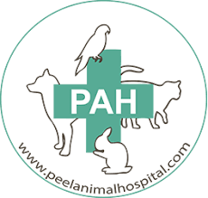 At southside dog cat and bird clinic we are a small animal practice dedicated to serving the oklahoma city community by providing affordable animal care. Veterinarians Brampton Peel Animal Hospital