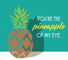 Meaning, definition, what is my eye!: You Re The Pineapple Of My Eye Jennifer Bachelder Design