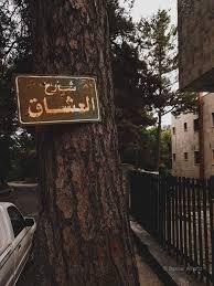 Pin By Zabieh Shihada Alsamaan On Syria Syria Plants Tree