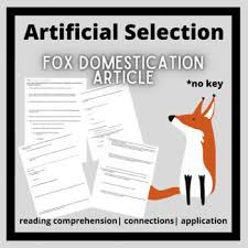 Biological evolution, camouflage, industrial revolution, lichen, morph, natural selection, peppered . Artificial Selection Worksheets Teaching Resources Tpt