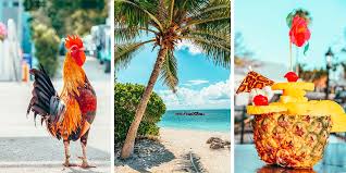 Facebook post misleads about spring break aftermath in key west. 33 Things To Do In Key West Florida Massive Travel Guide
