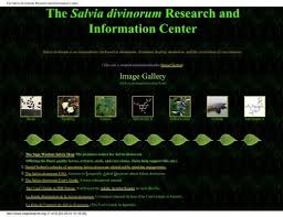 {lot} ethanol vapor recovery system c/o: The Salvia Divinorum Research And Information Center Shroomery