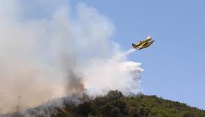 No local estão 149 bombeiros, auxiliados por 51 viaturas, de acordo com a autoridade nacional da proteção civil. Incendio Com Duas Frentes Arde Com Intensidade Em Saboia Odemira