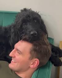 Denise Milliken (@denisemilliken) • Instagram photos and videos