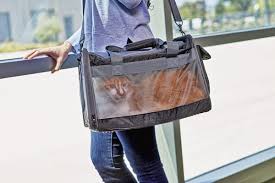 If you must bring the hyperactive cat with you, a cat sedative for travel will surely make the trip safer, easier and if you believe your cat may be a candidate for a cat sedative for travel, be sure to do a leisurely pretrip trial well ahead of the time you really need it. How To Travel With A Cat Petco