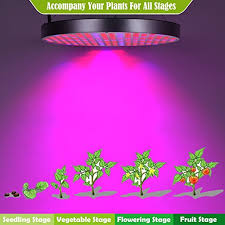 The light has a veg switch and bloom switch. 50w Led Plant Grow Lights Ufo 250 Leds Indoor Plants Growing Light Bulbs Hydroponics Plant