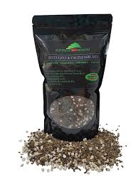 It's a match made in heaven, even companies are doing it! Succulent Cactus Soil Mix Pre Mixed Fast Draining Blend Superfly Bonsai