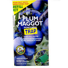 The concept of farmscaping to promote natural pest control isn't new, but designing studies to confirm exactly what works best for a given crop in various regions is challenging. Plum Maggot Trap Refill Organic Pest Control Webbs Garden Centre