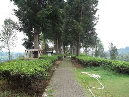 Mencari tempat menarik di selangor tapi tak pasti yang mana menarik? 14 Tempat Wisata 2021 Puncak Dan Sekitarnya Yang Harus Dikunjungi