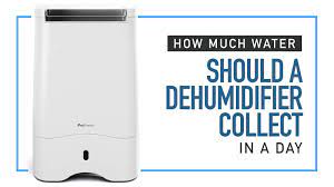 We did not find results for: How Much Water Should A Dehumidifier Collect In A Day Important Info