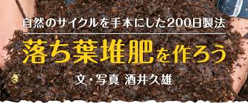 自然のサイクルを手本にした200日製法 落ち葉堆肥を作ろう 特集 読みもの サカタのタネ 家庭菜園 園芸情報サイト 園芸通信