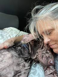 Cheesesteak or now known as Hope is