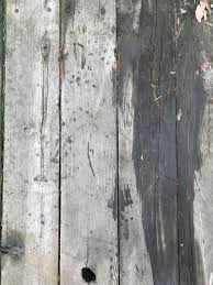 Wet Wood Wood Texture Tree Textures Texture Photography