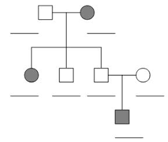 Pedigrees Practice Answer Key