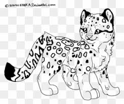 Find more leopard coloring page. Snow Leopard Coloring Pages Awesome Leopard Print Coloring Leopard Coloring Pages Printable Free Transparent Png Clipart Images Download