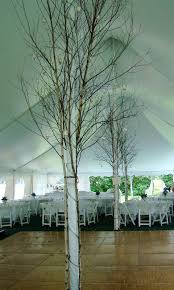 Birch Trees Attached To Tent Poles Echo Lake Tent Wedding Reception Tree Tent Outdoor Wedding