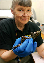 Making History One Species at a Time