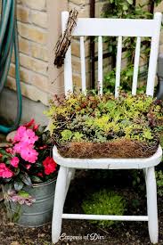 8 Bold And Colorful Flower Pot Ideas Care Tips Empress Of Dirt In 2020 Garden Containers Garden Art Garden Chairs