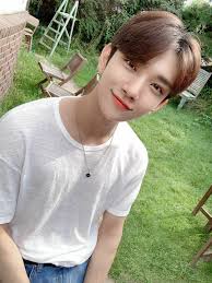 joshua weverse update carats what s up gambar suami entertainment