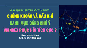 Lũy kế 11 tháng đầu năm 2018, nhà đầu tư. Pzqyck6 Vzqxbm