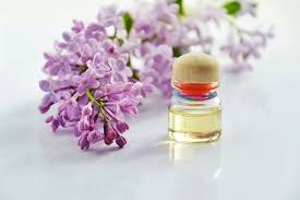 You can also make an insecticide spray using the dried herbs essential oils may be a lot less pricey than other pest repellent methods. What Are Essential Oils Hayley S Healing Essential Oils Cheat Sheet