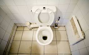 His personal physicians concluded that he had succumbed to cholera morbus, a bacterial infection of the small intestine. 8 People Who Died On The Toilet Wow Gallery