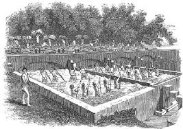 Indigo factory, 1850s. From Rural Life ...