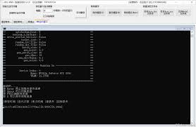 DFL-MVE 神农汉化版多功能启动UI【01.22 更新】增加Bat数据修改 ...