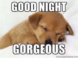 101 Good Night Memes For When You Want Funny Goodnight Wishes Good Night Funny Cute Good Night Good Night Hug