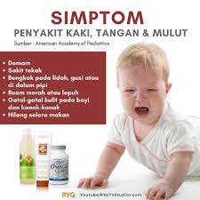 Penyebab tersering dari penyakit tangan kaki dan mulut adalah infeksi dari coxsackievirus a16, salah satu anggota dari kelompok virus yang digolongkan enterovirus jenis lainnya juga terkadang dapat menyebabkan terjadinya penyakit tangan kaki dan mulut. Penyakit Hfmd Penyakit Kaki Tangan Dan Mulut Jadi Kerunsingan Ibu Bapa Vitamin Wawa Pengedar Shaklee Aktif