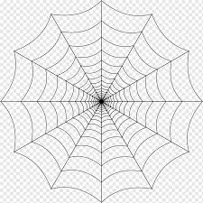 172 spider web hd wallpapers and background images. Spider Web Spider Web Background Angle Animals Leaf Png Pngwing