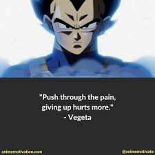Fresh out of the factory with no warranty and already broken. Stream Vegeta S Pride Vegeta S Theme Song Remix With His Best Quotes Mp3 By Joel Kostella Listen Online For Free On Soundcloud