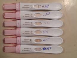Once the ovulation test tests positive for the lh surge, it will continue to test positive throughout the surge. Can You Take A Pregnancy Test 10 Days Post Ovulation