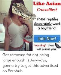 ʙᴇsᴛ ᴀsɪᴀɴ ᴘᴏʀɴs avi @arabtoes ᴅᴍ ғᴏʀ ᴘʀᴏᴍᴏ #ᴘᴀʏᴘᴀʟ ᴏɴʟʏ. Like Asian Crocodiles Ww Nn These Reptiles Desperately Want A Boyfriend Join Now Warning These Will Pursue You Got Removed For Not Being Large Enough Anyways Gonna Try To Get This Advertised