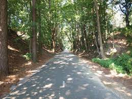 Maybe you would like to learn more about one of these? Greeneway Trail Facility Directory North Augusta Sc