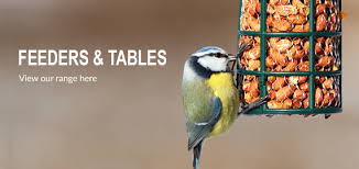 Aquariums, aquariums & supplies, bird breeders & dealers. Wild Bird Wildlife Accessories Bird Food Feeders Wild Bird Store