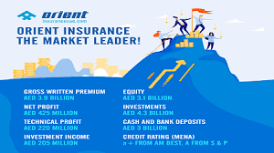 Best auto insurance companies 2020: Home
