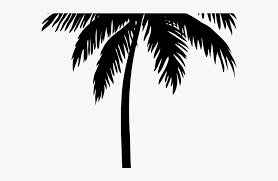 You can use our images for unlimited commercial purpose without asking permission. Palm Trees Clipart Coconut Tree Silhouette Vector Hd Png Download Kindpng