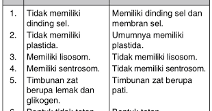 We did not find results for: Jelaskan Perbedaan Sel Hewan Dan Sel Tumbuhan Dalam Bentuk Tabel Mas Dayat