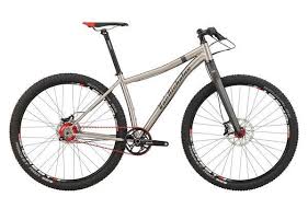 Van Nicholas Zion Rohloff 29er Frame