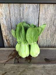 Check spelling or type a new query. Asian Greens Bok Choy Glade Road Growing