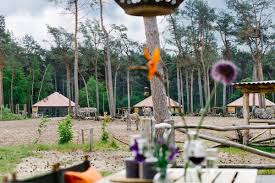 In de brabantse bossen ligt een prachtige wildernis verscholen waar spelen, avontuur en overnachten gevaarlijk dichtbij komt. Ubernachten Im Safari Resort Beekse Bergen