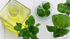 Corsican mint is often reserved for ground covers and herbal lawns, says university of oregon extension. What Are The Different Types Of Mints Are They All Edible
