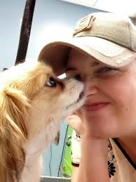We strive to make the experience coming to puppy love exciting and his experience has come from the training of differant groomers through out his career. Fairy Tails Mobile Grooming Llc